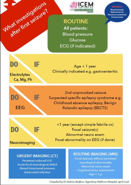 ICEM2016_PEMC_First_Seizure_Investigations