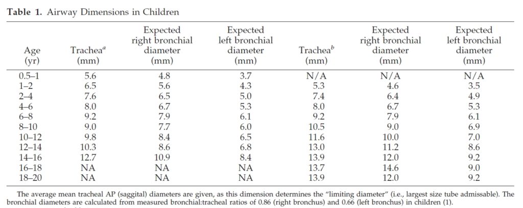 Airway dimensions in children. (Source: Hammer, Fizmorris, Brodsky 1999)